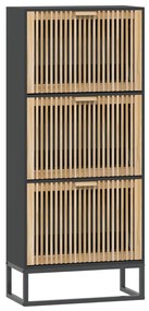 Sapateira 52x25x120 cm derivados de madeira preto