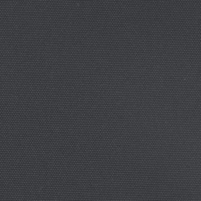 Toldo lateral retrátil 140x600 cm preto