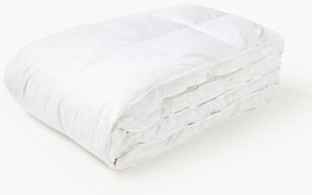 Topper de penas Timo