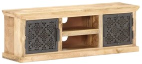 vidaXL Móvel de TV com portas de aço 120x30x40cm mangueira maciça