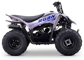 MINI MOTO 4 GASOLINA PARA CRIANÇAS velocidade até 45Km/h C/Limitador DAKAR 110cc Automática