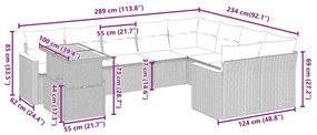 10 pcs conjunto de sofás p/ jardim com almofadões vime PE bege