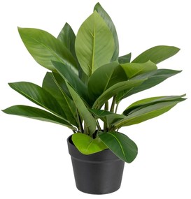 Planta Decorativa 50 X 45 X 48 cm Verde Pvc