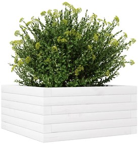 Vaso/floreira de jardim 50x50x23 cm pinho maciço branco