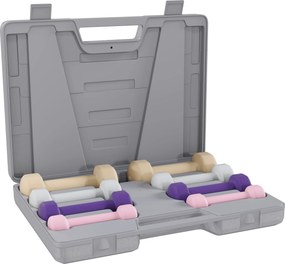 Conjunto de Halteres de 8 Peças 2x0,5 kg 2x1 kg 2x1,5 kg 2x2 kg Antiderrapantes com Mala de Transporte Multicoloridos