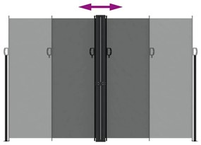 Toldo lateral retrátil 220x1000 cm antracite