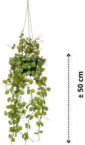 Ceropegia artificial suspensa com vaso 50 cm