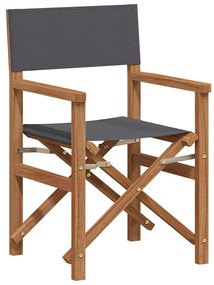 vidaXL Cadeira de Diretor Dobrável Cinzeto 56 x 54 x 87 cm