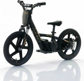 Bicicleta elétrica infantil 250W 16” 250W 16" Plus RFN preta e dourada