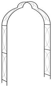 47095 vidaXL Arco de jardim 150x34x240 cm ferro preto