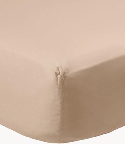 Lençol com elástico em cetim de algodão Brown Caffelatte
