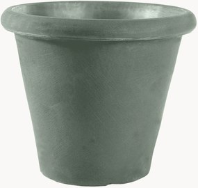 Vaso Camelia