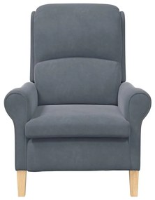 Poltrona Cinza Escura Cinzento escuro Standard