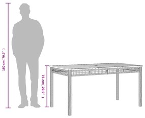 Mesa de jardim 140x80x75cm vime PE e madeira de acácia cinzento