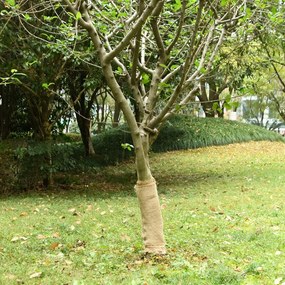 vidaXL Rolo de Juta 0,5x25 m 100% Juta 200 g/m²