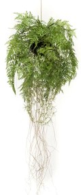 428478 Emerald Feto de pendurar com raízes artificial 35 cm