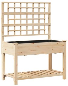 Plantador de Jardim vidaXL com Treliça e Estante 115x59x152 cm de Made