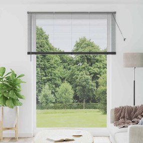 vidaXL Persianas venecianas Manual Cinza Escuro 220 x 160 cm Alumínio