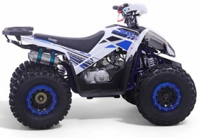 Mini Moto 4 gasolina para crianças automática 125cc Roan Coyote R8 Ecrã digital e com e marcha-atrás Azul