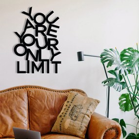 Acessório Decorativo de Parede Limit – Preto – 37 x 52 cm