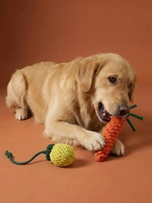 Lote de 2 brinquedos de corda para cão, frutas amarelo