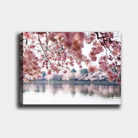 Pintura Decorativa em Tela 102307675_70100 – Multicolor – 70 x 100 cm