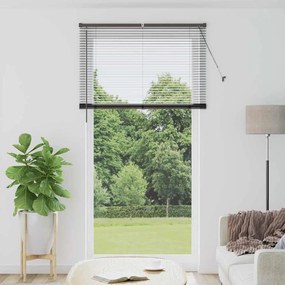 Persiana de Janela com cortinas Outros Manual Preto 120 x 220 cm Alumí