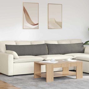 vidaXL Travesseiros de Sofá 2 pcs Cinzento-claro 145 x 40 cm