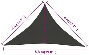 Para-sol estilo vela 160 g/m² 4x4x5,8 m PEAD antracite