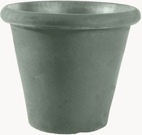 Vaso Camelia