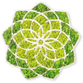 Acessório Decorativo de Parede Daisy – Verde/Branco – 44 x 1,6 x 44 cm