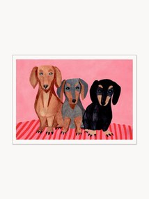 Póster Dachshunds