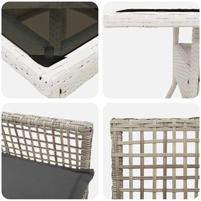 Conjunto de Jantar de Jardim de 3 Peças Cinza Claro em Rattan Sintétic