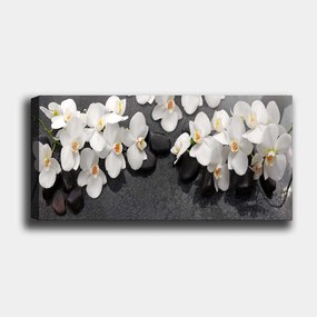 Tela Decorativa YTY1043881600 – Multicolor – 30 x 80 cm