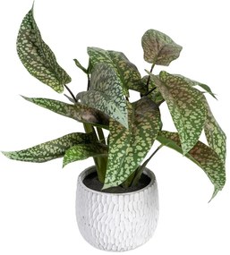 Planta Decorativa Verde Pvc 52 X 44 X 44 cm