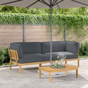 vidaXL Conjunto de Sofás Liso 2 pcs Antracite Madeira Sólida de Acácia
