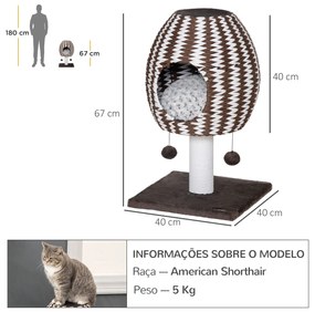 PawHut Árvore Arranhador para Gatos Altura 67cm Arranhador para Gatos