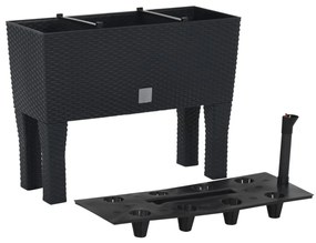 Canteiro de jardim elevado 60x25x46 cm vime PP antracite