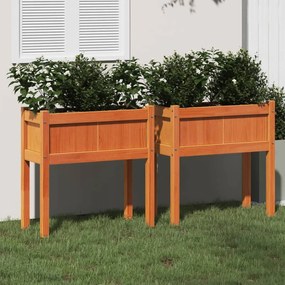vidaXL Floreiras de jardim c/ pernas 2 pcs pinho maciço castanho cera