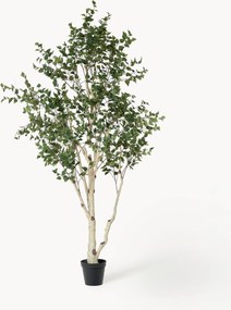 Planta artificial Birch Tree Green