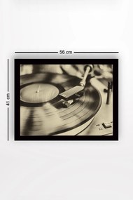 Quadro Decorativo em MDF SC0994 – Multicolor – 41 x 56 cm