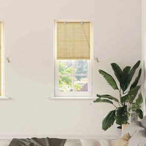 vidaXL Persianas e Sombras de Janela Natural 60 x 160 cm Bambu