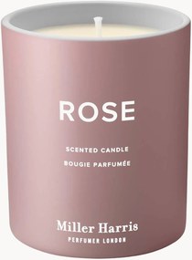 Vela perfumada Rose (absoluto de rosa turca, groselha-preta, almíscar de caxemira)