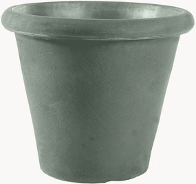 Vaso Camelia