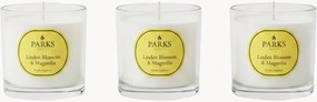 Velas perfumadas artesanais Vintage Aromatherapy (flor de tília, magnólia, almíscar suave), conjunto de 3