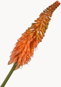 Flores artificiais Kniphofia, conjunto de 2