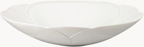 Pratos de jantar em porcelana Bloom, conjunto de 6