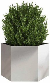 Vaso/floreira de jardim hexagonal 69x60x45 cm aço inoxidável