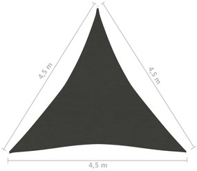 Para-sol estilo vela 160 g/m² 4,5x4,5x4,5 m PEAD antracite