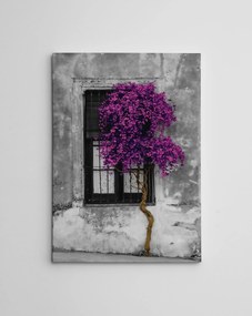 Tela Decorativa WY239 – Multicolor – 50 x 70 cm